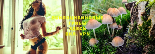 метамфетамин Алзамай