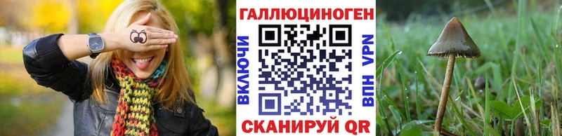 Галлюциногенные грибы Psilocybine cubensis Фатеж